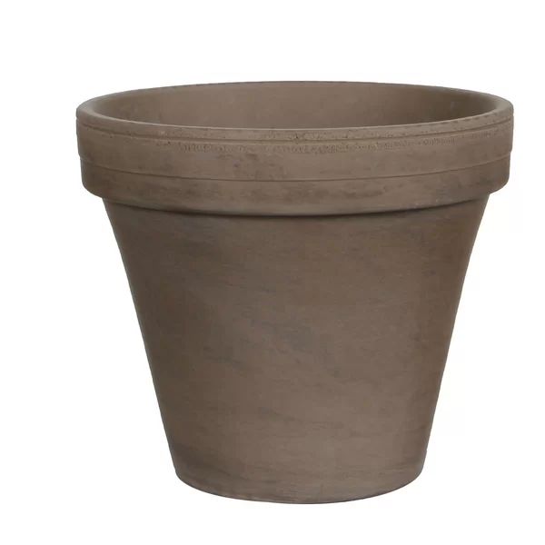 Leamore Terracotta Pot Planter | Wayfair North America