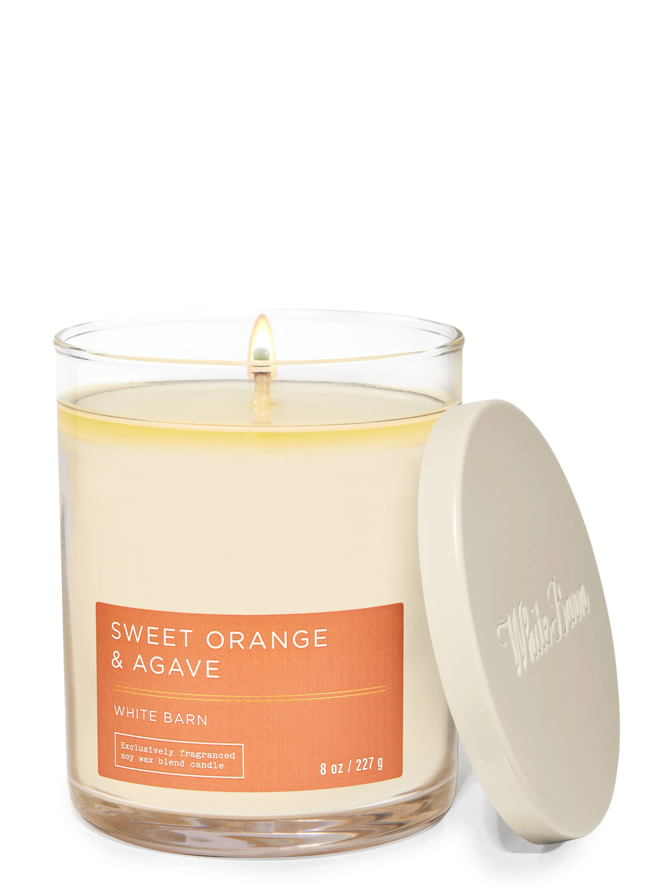 White Barn


Sweet Orange & Agave


Single Wick Candle | Bath & Body Works