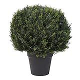 Home Pure Garden Artificial Cypress Topiary-23” Ball Style Faux Plant in Sturdy Realistic Indoor or  | Amazon (US)