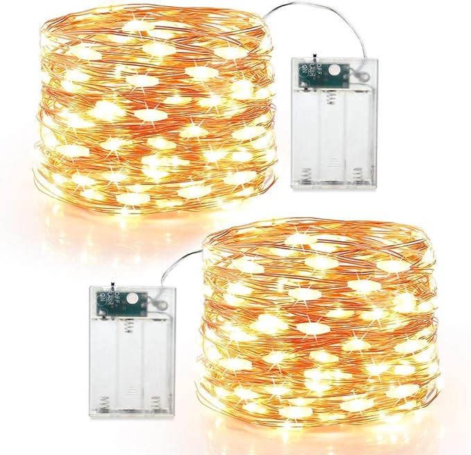 ANJAYLIA Fairy Lights, 10ft 30 LED Mini String Lights Battery Operated Firefly Starry Lights for ... | Amazon (US)