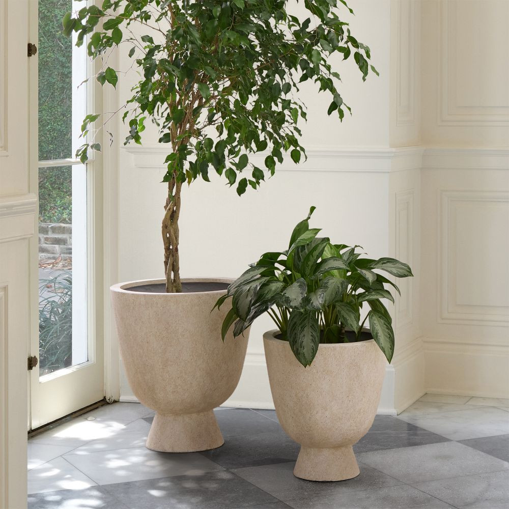 Colin King Ficonstone Indoor/Outdoor Pedestal Planters | West Elm (US)