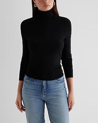 Fitted Turtleneck Sweater | Express
