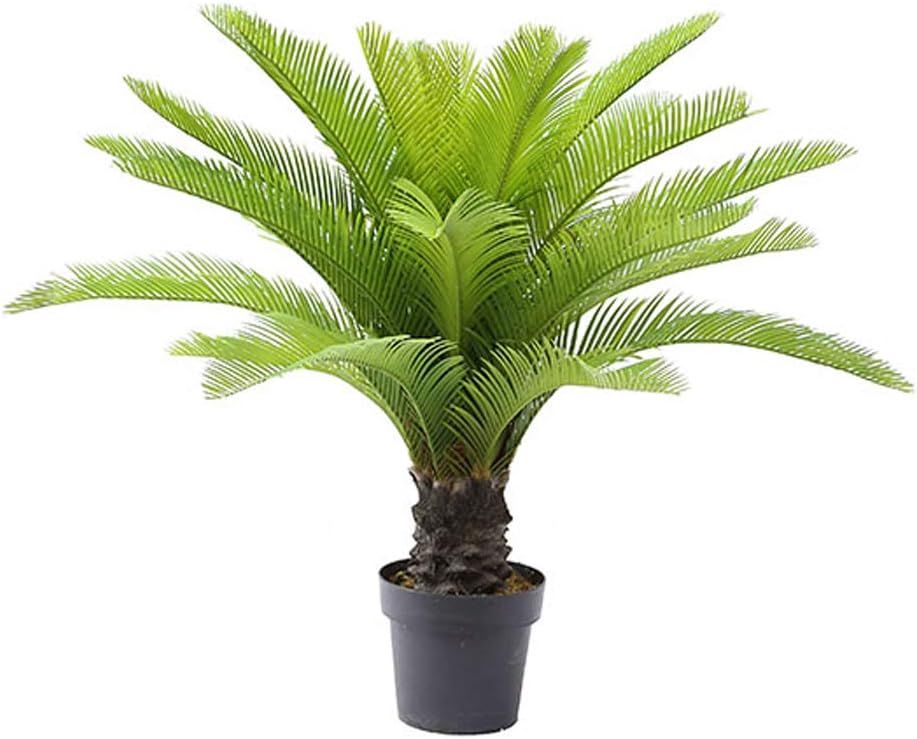 AMERIQUE Gorgeous 3 Feet Cycas Revoluta Sago Palm Tree Artificial Plant with Nursery Pot, Feel Re... | Amazon (US)