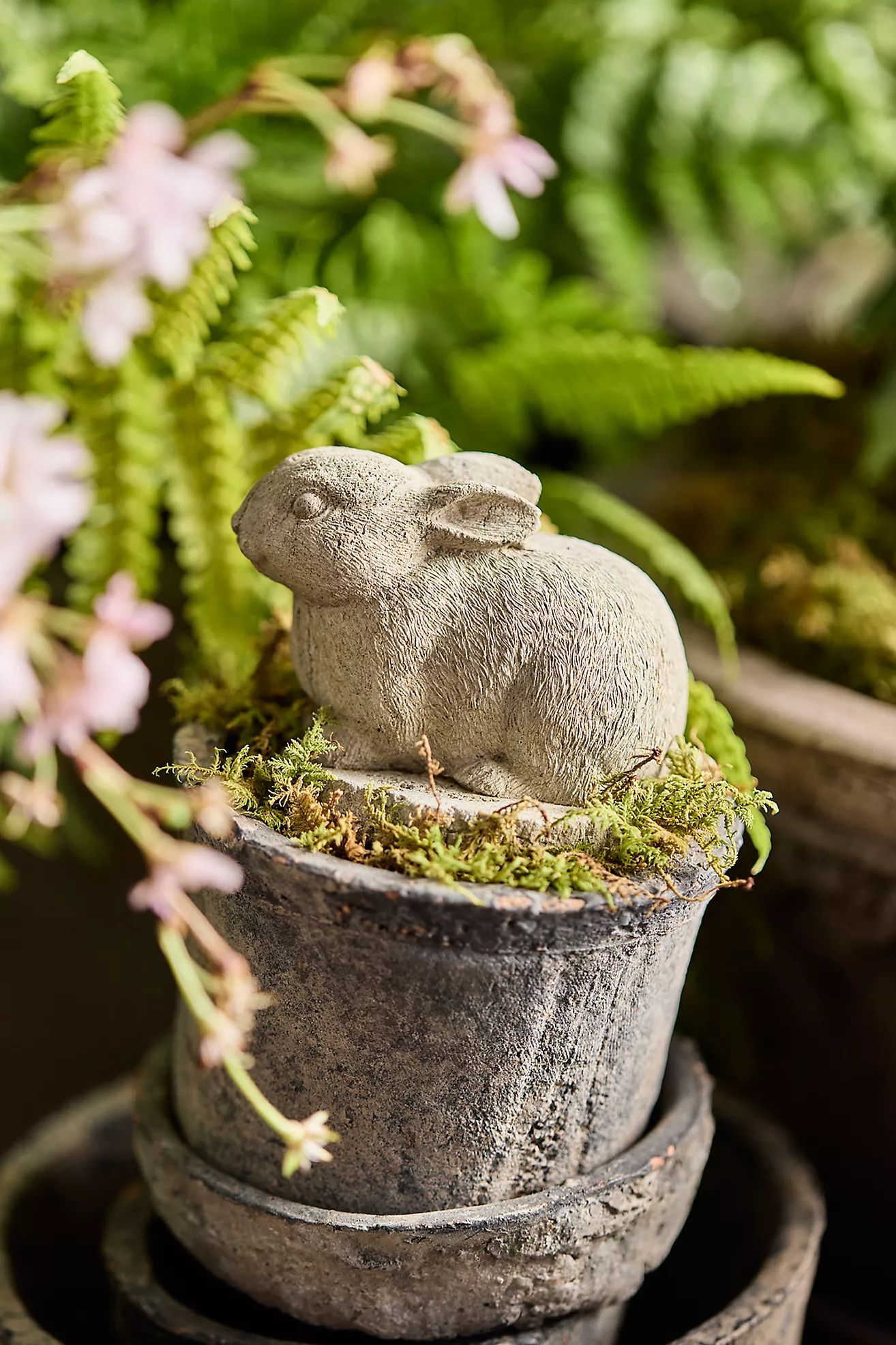 Concrete Bunny | Terrain