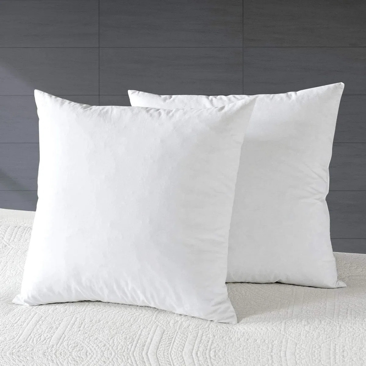 Decorative Down Feathers Fill Square Pillow Insert with Cotton Cover (Set of 2) | Wayfair North America