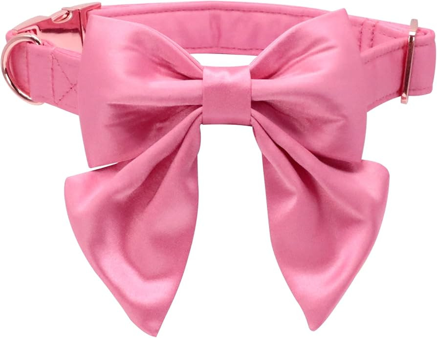 Lionet Paws Bowtie Dog Collar - Comfortable Silk Dog Collar with Detachable Bow Tie for Medium Do... | Amazon (US)