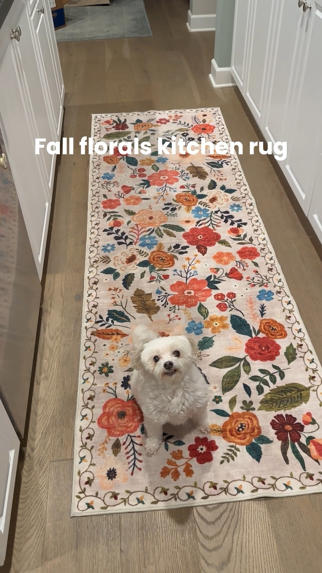 Fall florals kitchen rug from Amazon 

#LTKHome #LTKSeasonal #LTKStyleTip