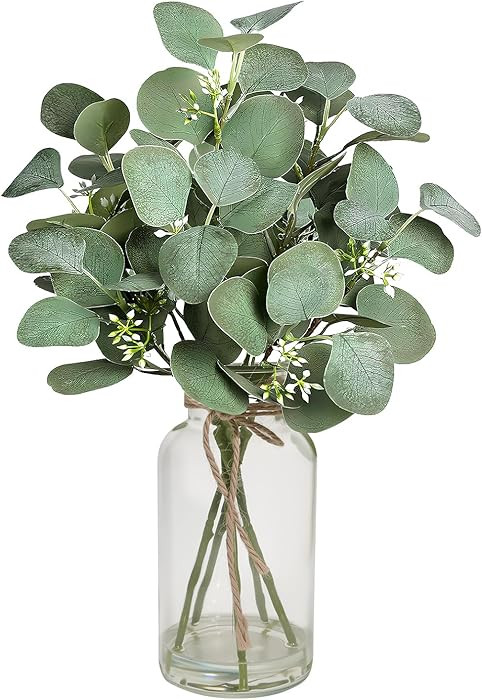 SwanMoon Artificial Eucalyptus Stems in Clear Glass Vase with Faux Water, 14 Inch Fake Eucalyptus... | Amazon (US)