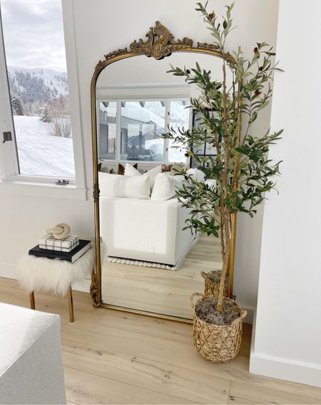 HOME \ living room floor mirror and faux olive tree setup🌿✨

Spring decor
Walmart 

#LTKfindsunder50 #LTKhome
