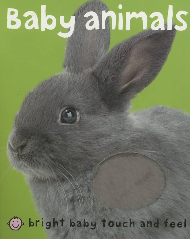 Bright Baby Touch & Feel Baby Animals (Bright Baby Touch and Feel) | Amazon (US)