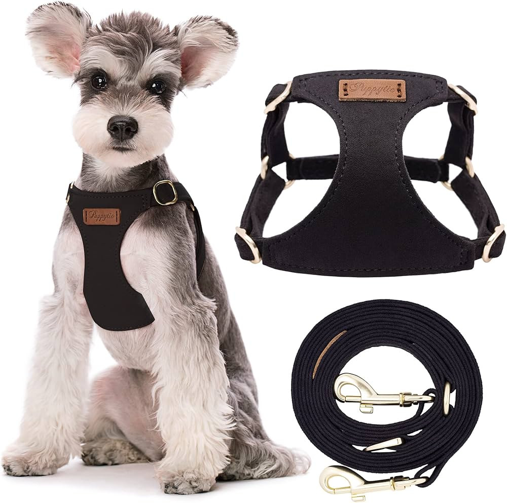 Puppytie No Pull Small Dog Harness with Multifunction Dog Leash,Lightweight Soft Adjustable No Ch... | Amazon (US)