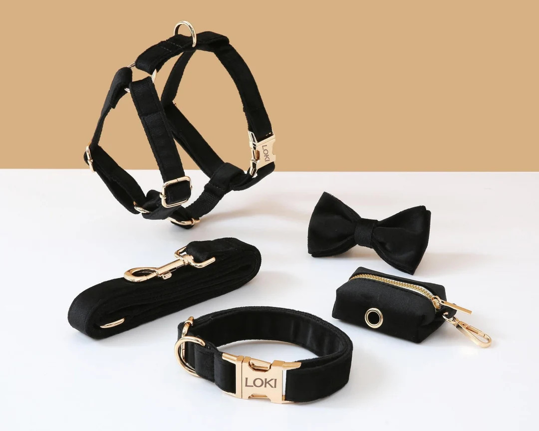 Personalized Step in Dog Harness and Leash Set, Black Velvet Custom Harness Collar Bowtie Poo Bag... | Etsy (US)