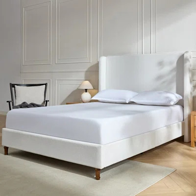 Peyton Upholstered Queen Bed with 54" Tufted Wingback Headboard, Nailhead Trim, No Box Spring Needed, Easy Assembly / Dark gray velvet | Wayfair North America