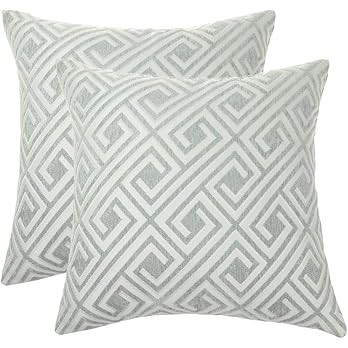 ecorative Throw Pillow Covers Cushion Covers 20 X 20 for Couch Bedroom Car Throw Pillow Cases Pro... | Amazon (US)