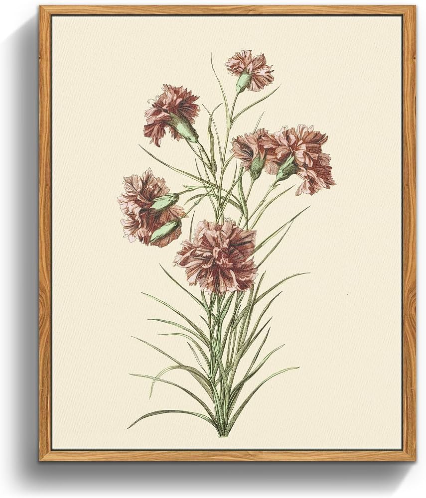 crmotu Floral Framed Wall Art, Carnation Flower Vintage Botanical Prints, Nature Plant Canvas Art... | Amazon (US)