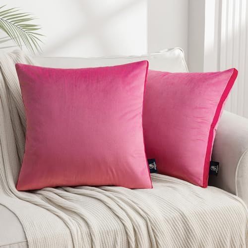 Phantoscope Pack of 2 Velvet Throw Pillow Covers, Decorative Soft Velvet Pillows Accent Double-Si... | Amazon (US)