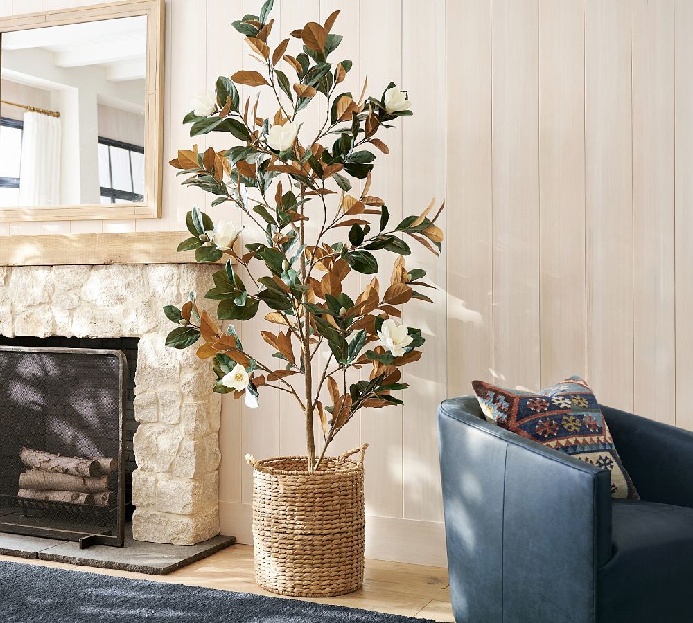 Faux Potted Magnolia Tree | Pottery Barn (US)