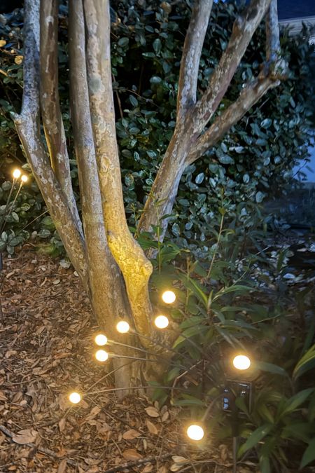 Fun solar lights for the garden or front lawn.  I’m ordering more now! Landscaping, outdoor lights 

#LTKhome #LTKSeasonal #LTKfamily