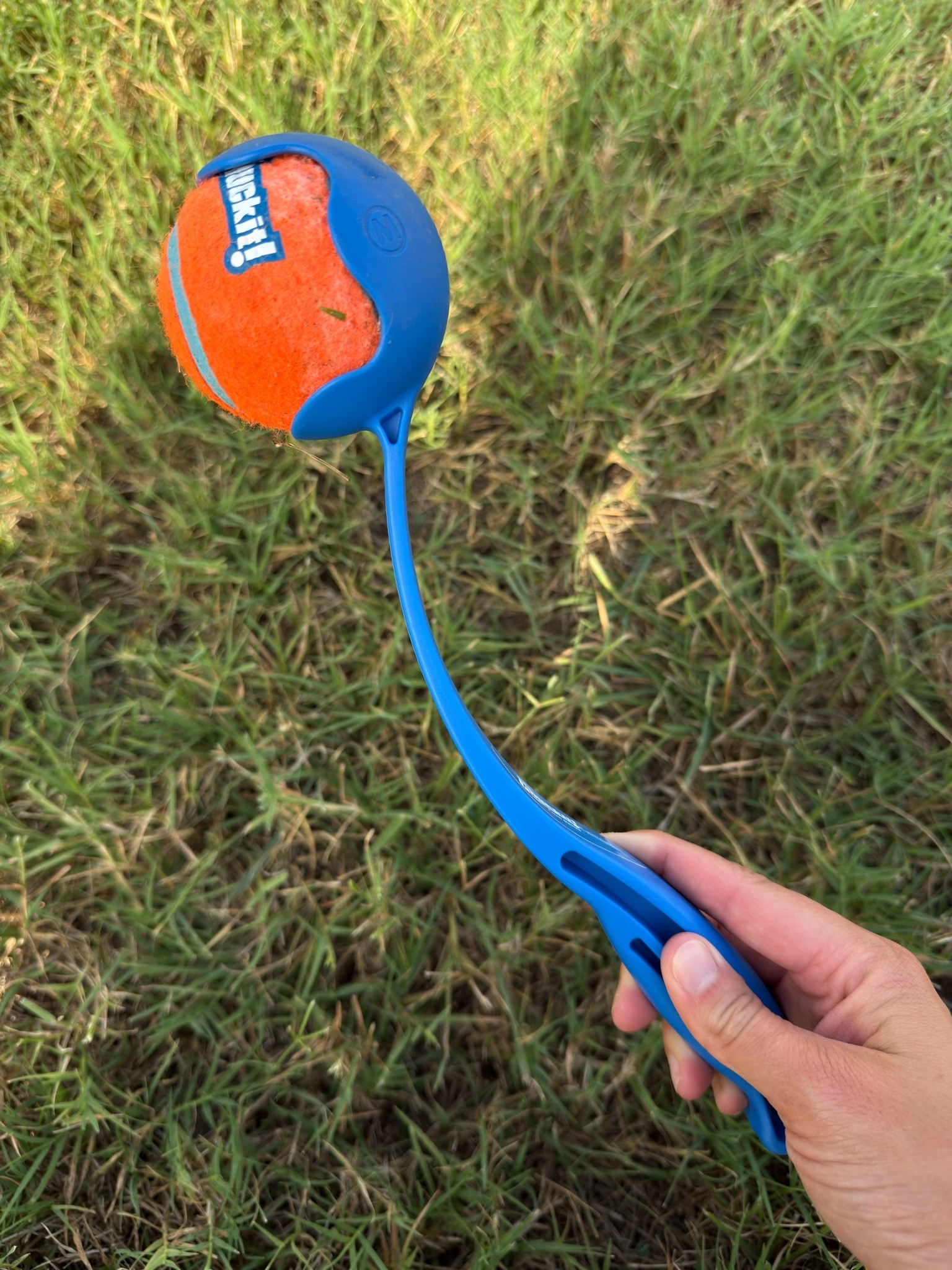 The best ball throwing toy for dogs and super affordable also ￼