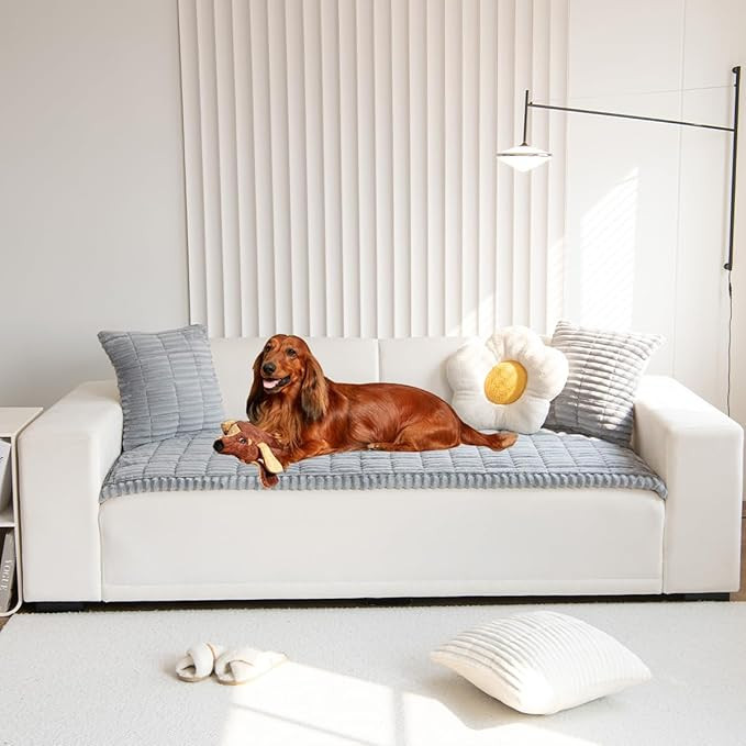 Sofa Cover Fuzzy Couch Cover for Pet, Couch Covers for Dogs Washable Non-Slip Sofa Slipcover Cush... | Amazon (US)