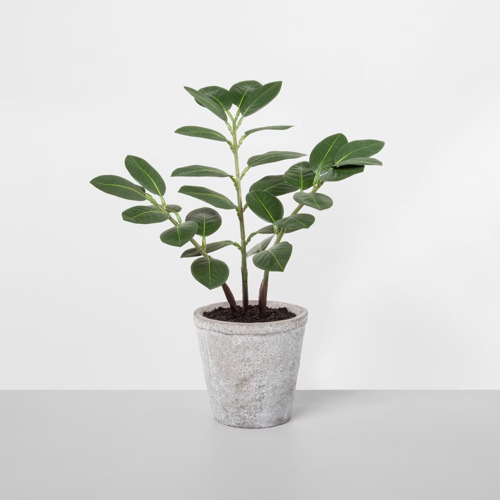 15"" Faux ZZ Potted Plant - Hearth & Hand with Magnolia | Target