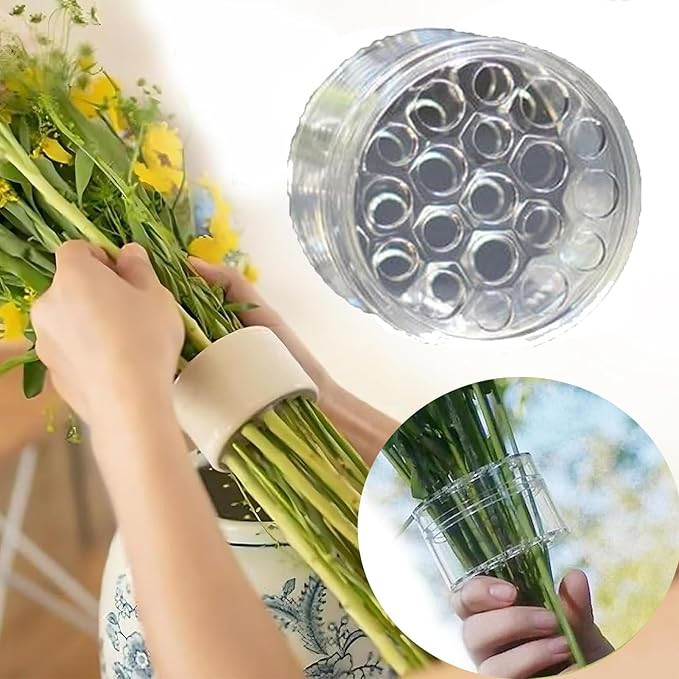 Spiral Ikebana Stem Holder, 2024 New Spiral Stem Holder for Vases, Spiral Flower Stem Holder, DIY... | Amazon (US)