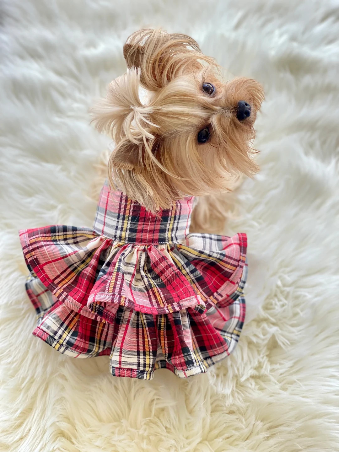 Simple Plaid Dog Dress, Customizable to your pets measurements!! Size XXS XS and Small | Etsy (US)