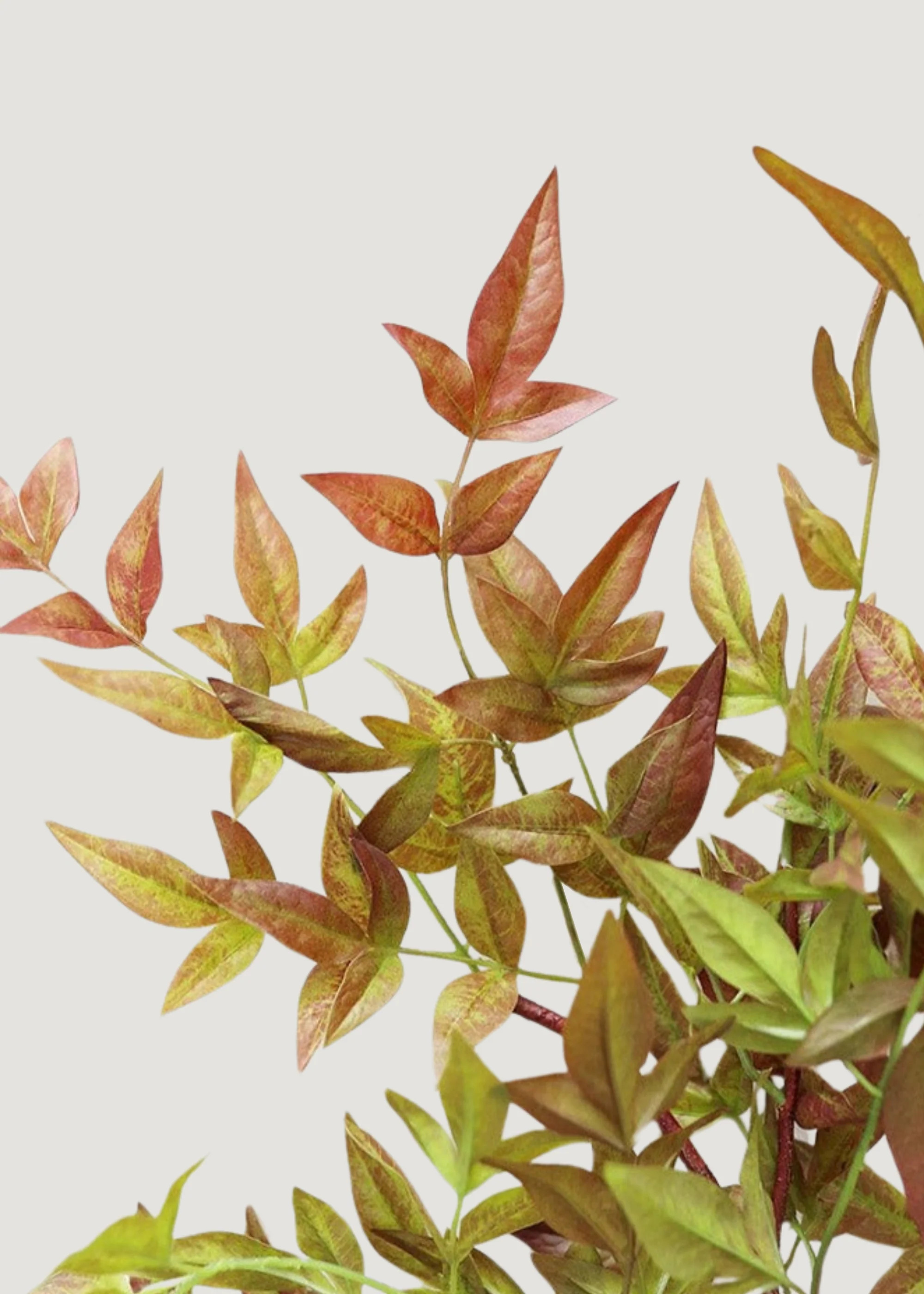 Tall Nandina Leaf Branch | Artificial Green Stems at Afloral.com | Afloral