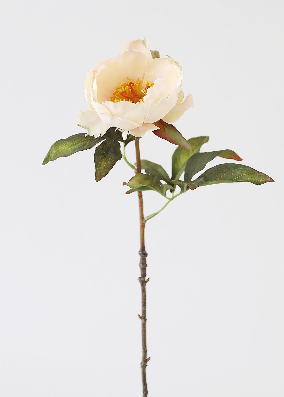 Cream Peach Artificial Open Peony Flower - 22" Tall | Afloral (US)