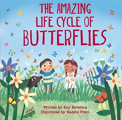 The Amazing Life Cycle of Butterflies (Look and Wonder) | Amazon (US)