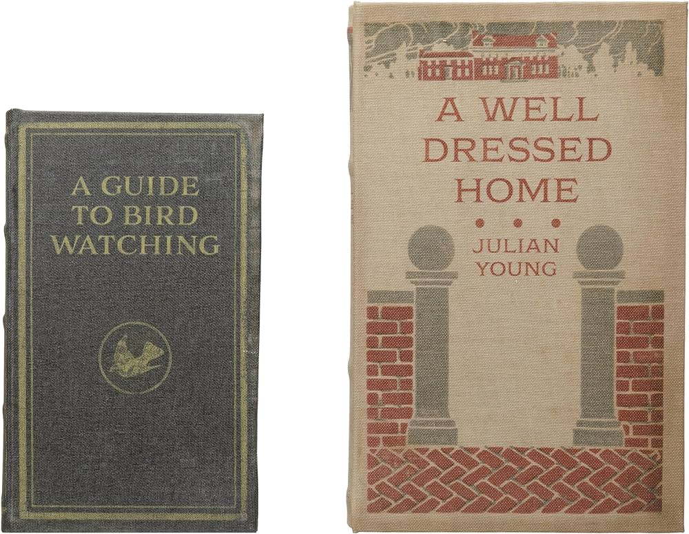 Creative Co-Op MDF & Canvas Book, Set of 2 A Well Dressed Home Storage Box, Multi Color, 2 | Amazon (US)