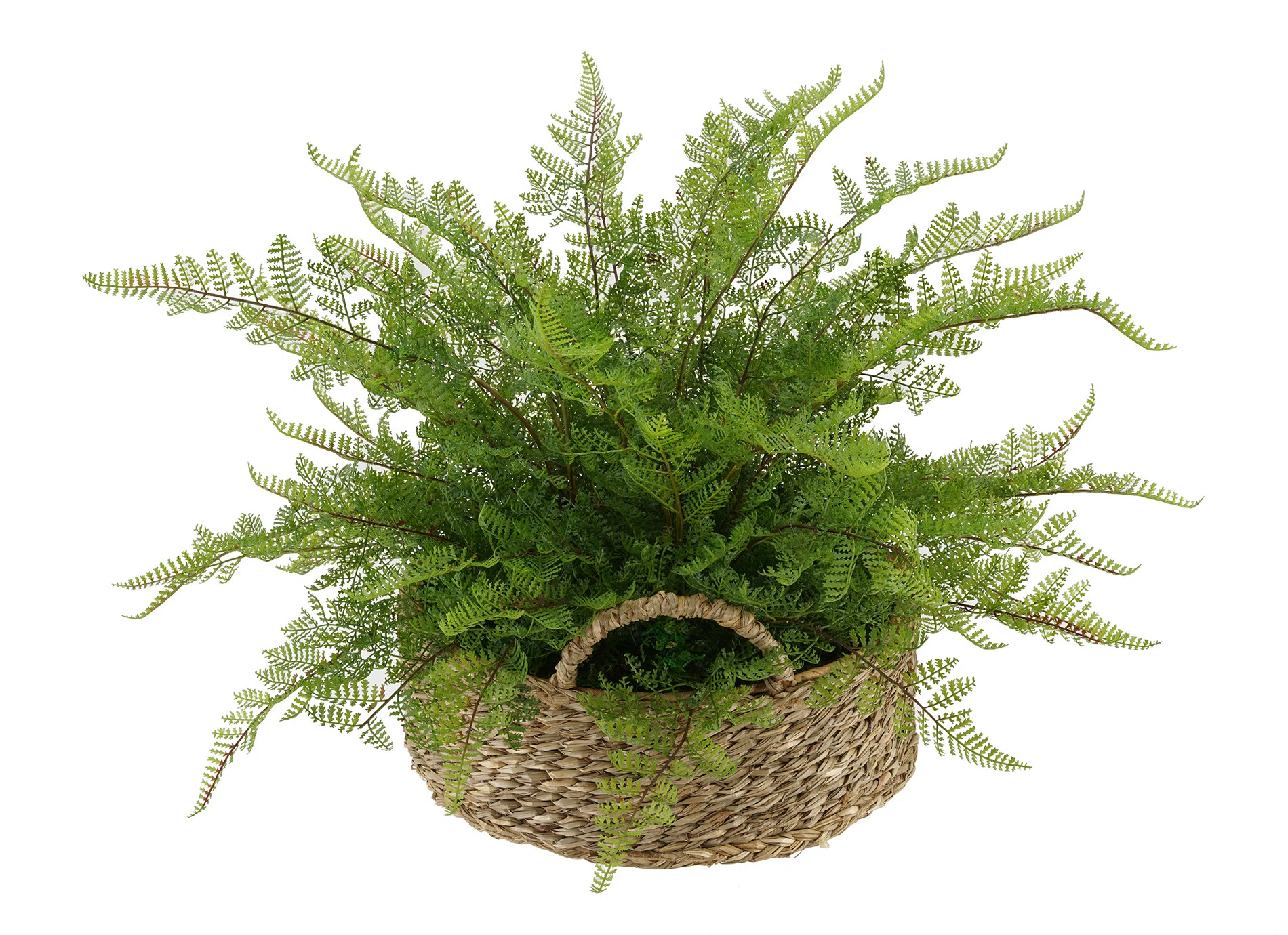 14'' Faux Fern Plant in Seagrass Basket | Wayfair North America