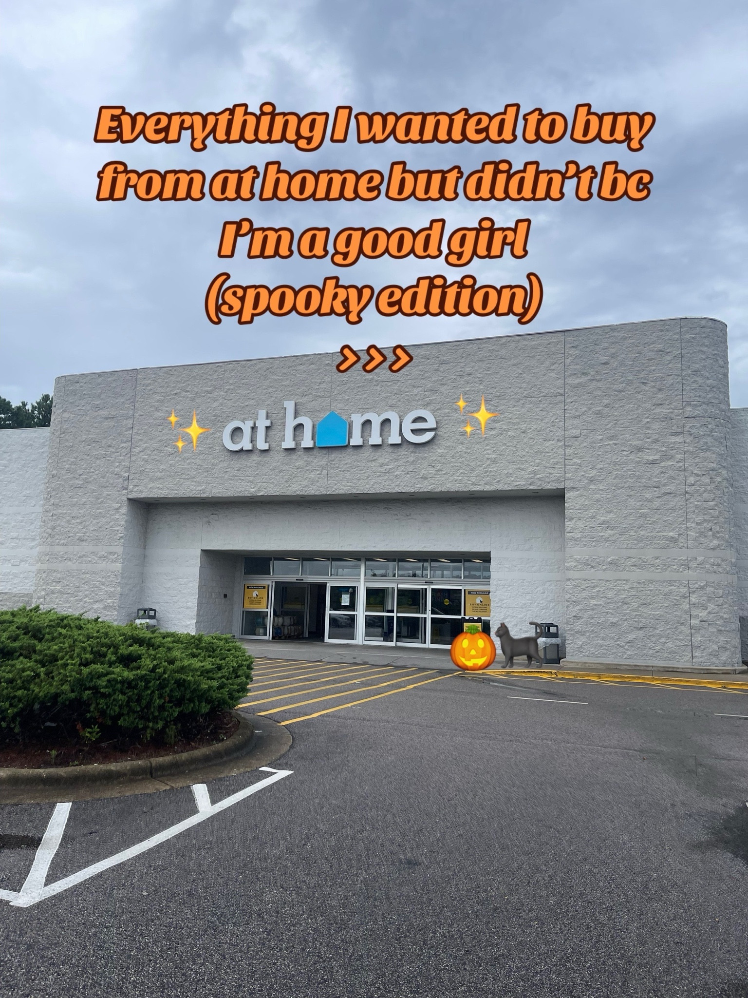 The best spooky finds!! 

#LTKFindsUnder50 #LTKFindsUnder100 #LTKSeasonal