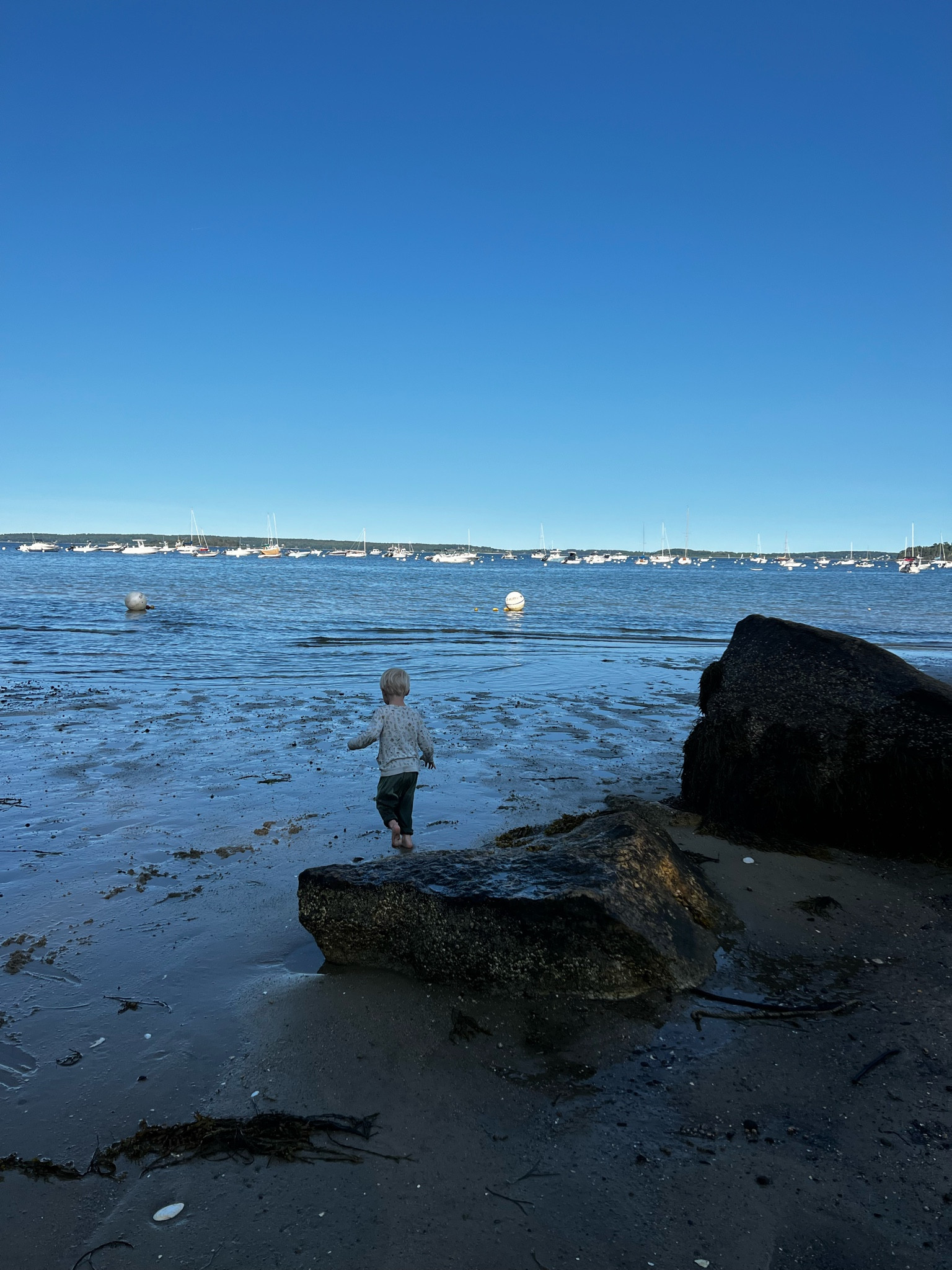 Shoe picks from the Nordstrom sale

#LTKshoecrush #LTKxNSale #LTKsalealert