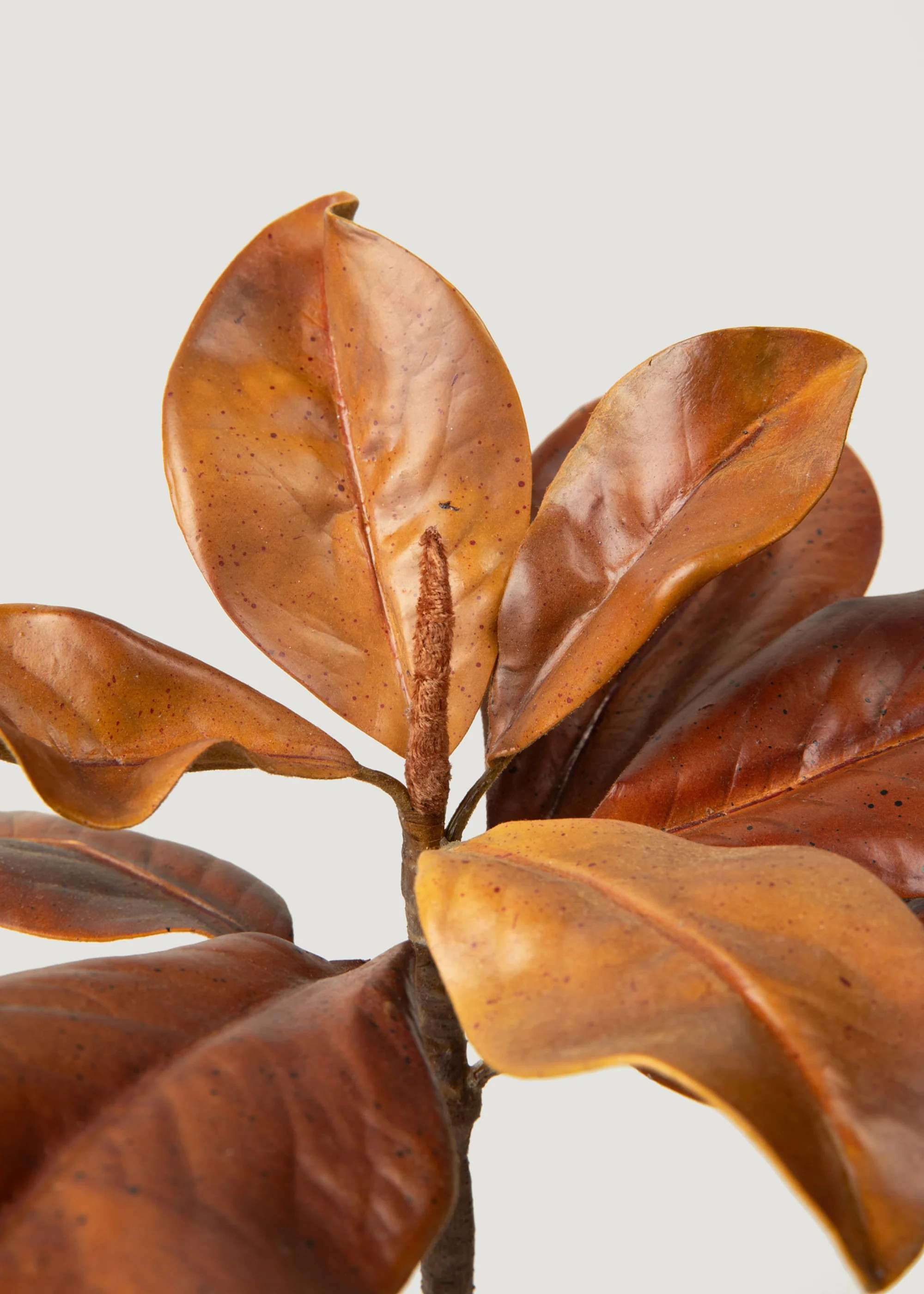 Brown Fake Magnolia Leaf Pick | Artificial Fall Leaves at Afloral | Afloral