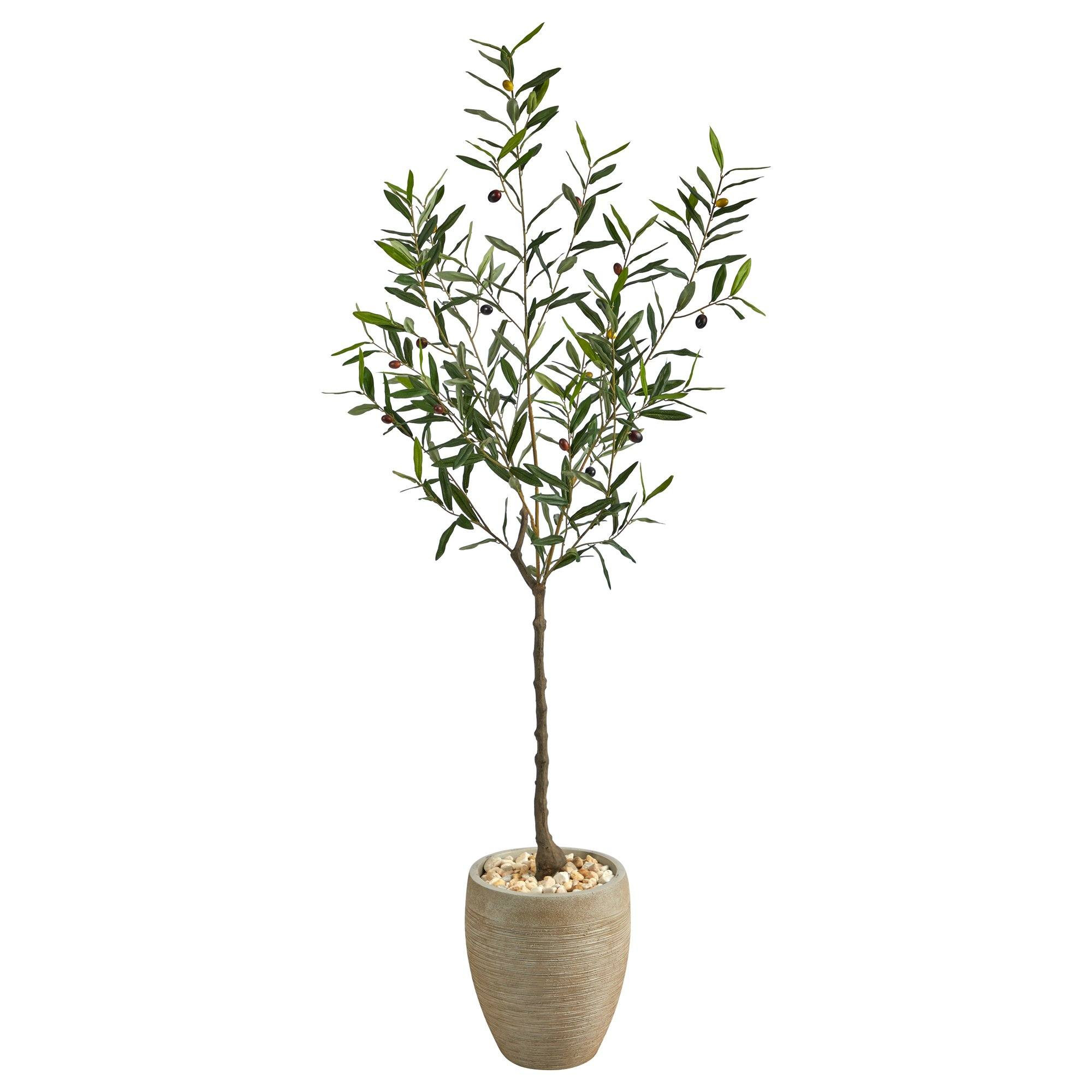 5.5’ Olive Artificial Tree in Sand Colored Planter | Nearly Natural | Nearly Natural