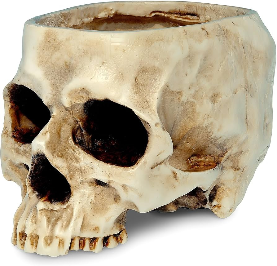 READAEER Skull Bowl Resin Skull Shaped Planter Flower Pot Candy Bowl for Home Office Indoor Desk ... | Amazon (US)