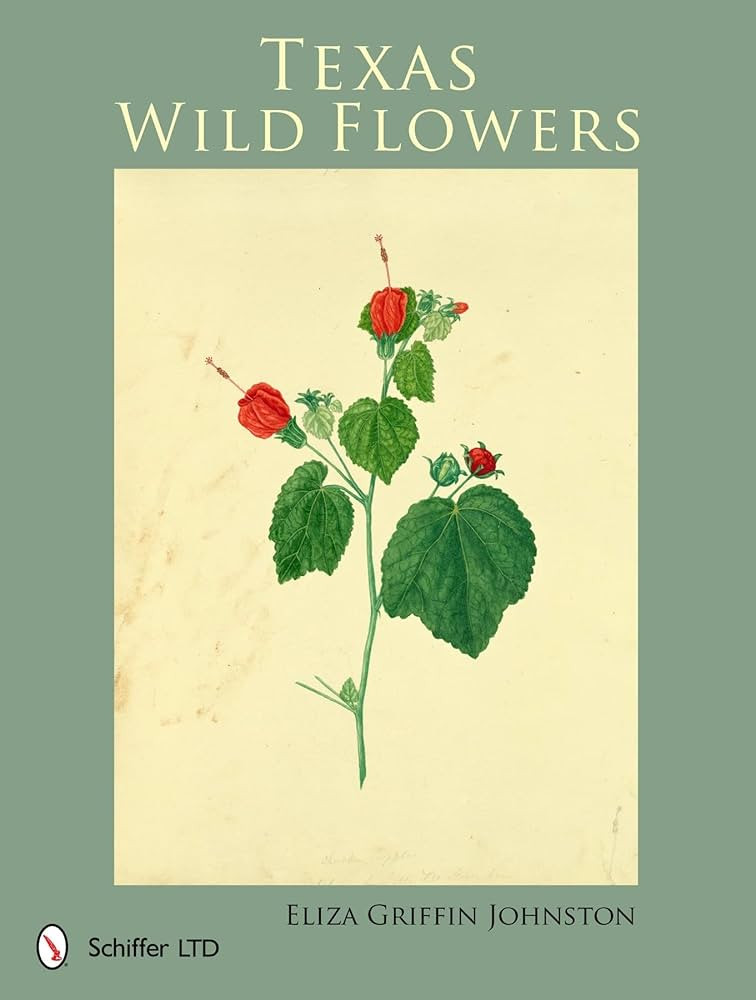 Texas Wild Flowers | Amazon (US)