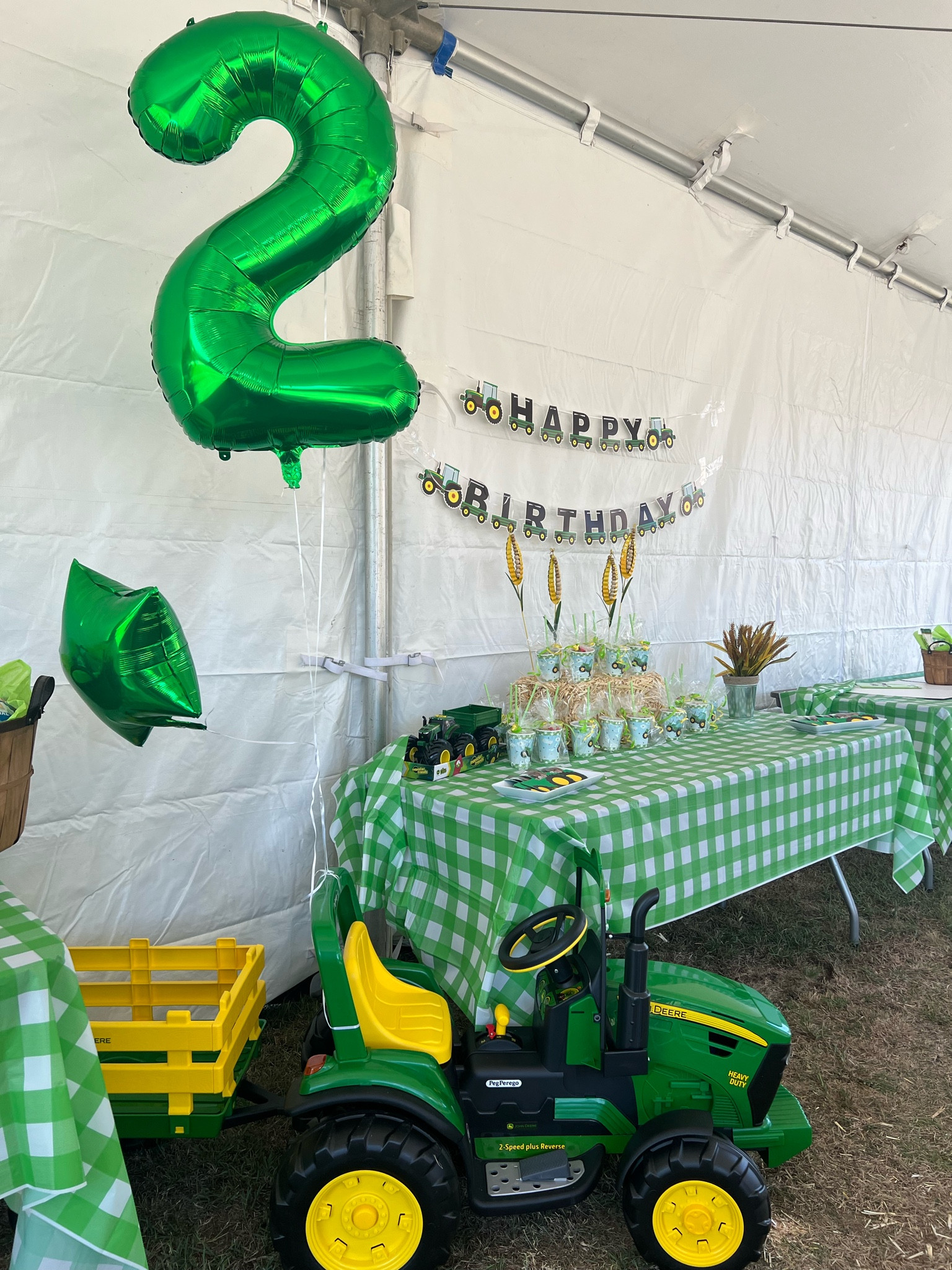 Second birthday theme 🚜🦌💚

#LTKkids #LTKstyletip #LTKparties