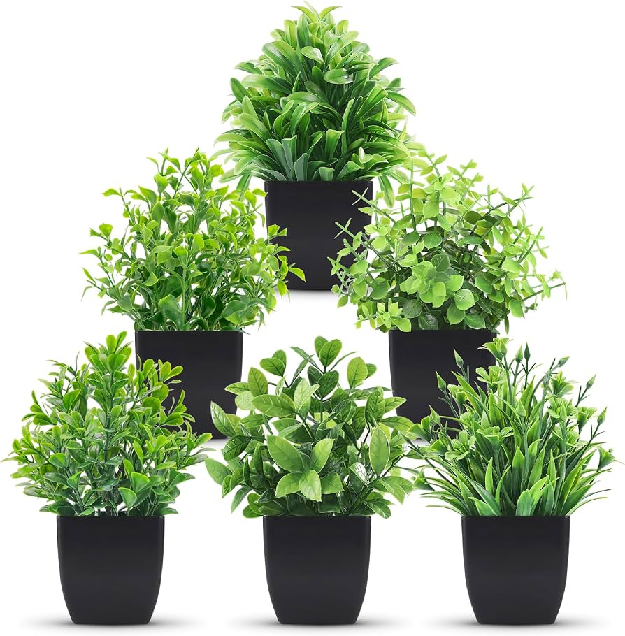 Der Rose 6 Pack Mini Fake Plants in Black Pots, 7" Bathroom & Desk Decor | Amazon (US)