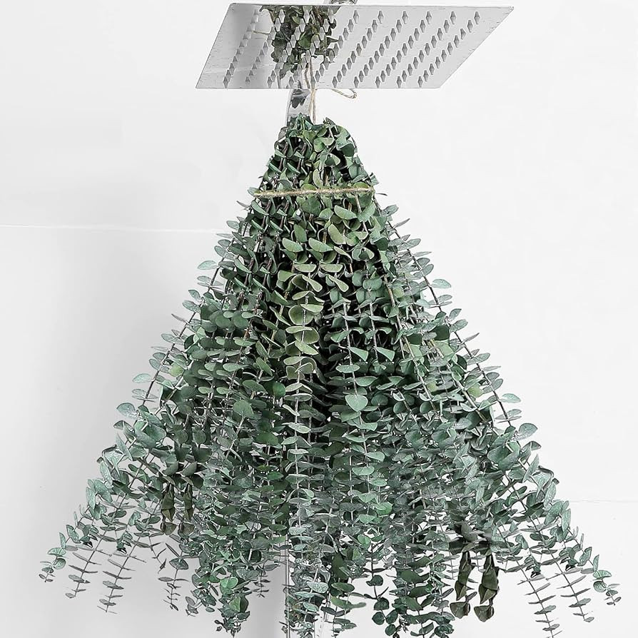 30 Pcs Dried Eucalyptus Stems 17" Real Eucalyptus for Shower Hanging 100% Made from Fresh Leaves,... | Amazon (US)