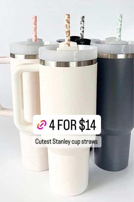 Stanley cup straws. Leopard straws. 4 for $14

#LTKunder50 #LTKFind #LTKsalealert