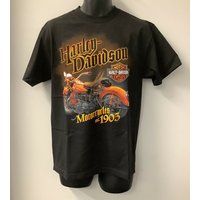 Harley Davidson Orange Running Hot T-Shirt, Motorcycle Shirts, Mens Davidson, 90S Tee Tl2534 | Etsy (US)
