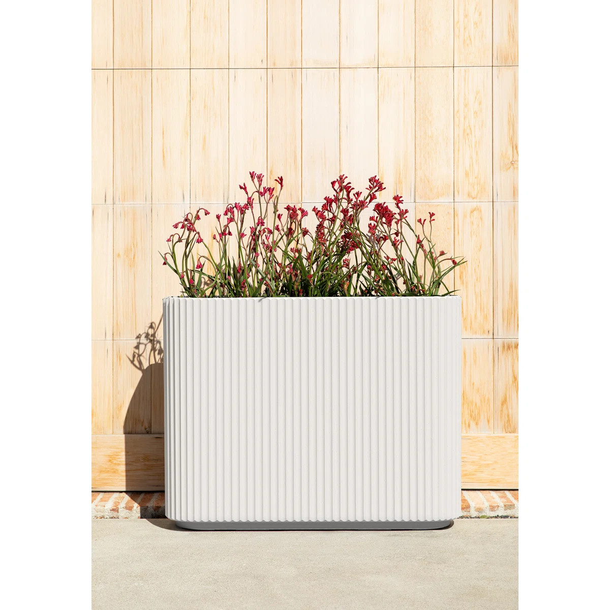 Veradek Demi Series Span Planter | Wayfair North America