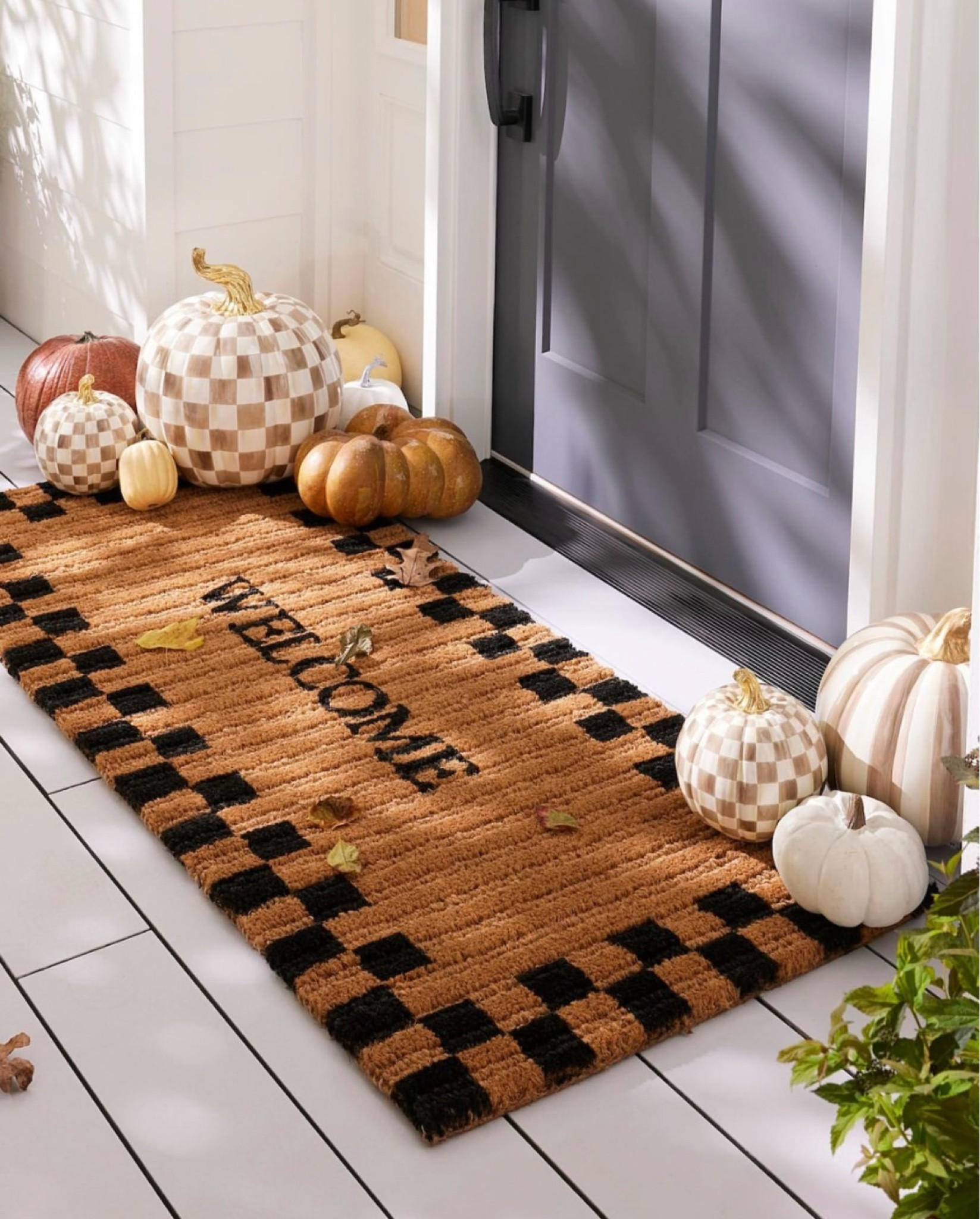 Mackenzie Childs welcome doormat and mocha check pumpkins!


#LTKHome #LTKStyleTip #LTKSeasonal