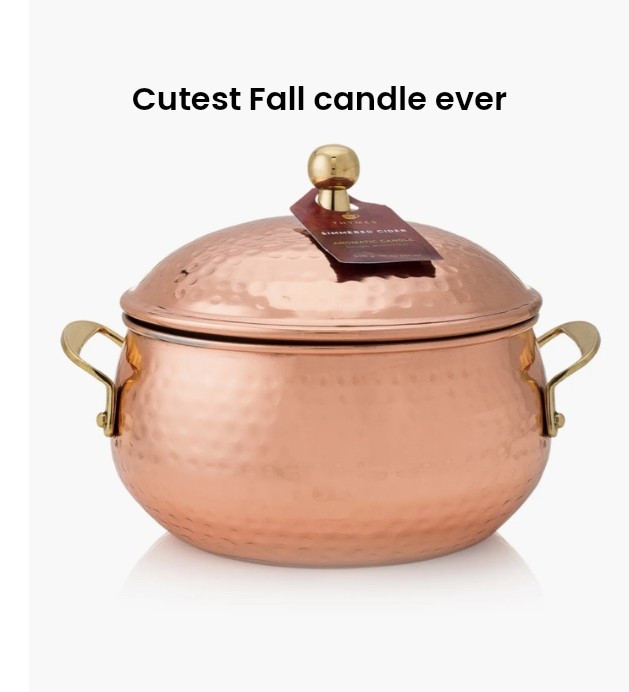 Fall candles

#LTKSaleAlert #LTKSeasonal #LTKHome