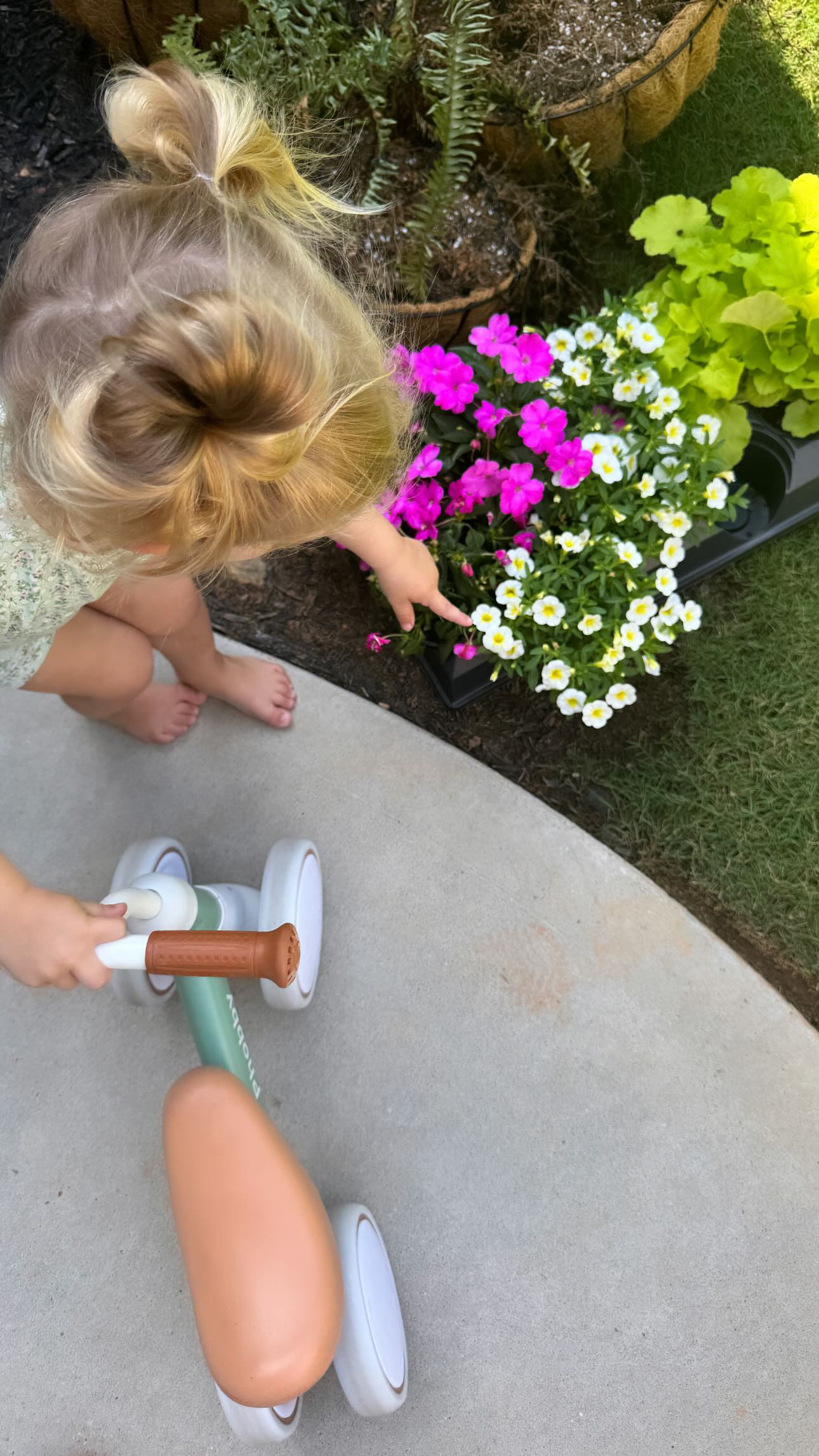 Baby/Toddler Balance Bike 

#LTKSeasonal #LTKActive #LTKKids