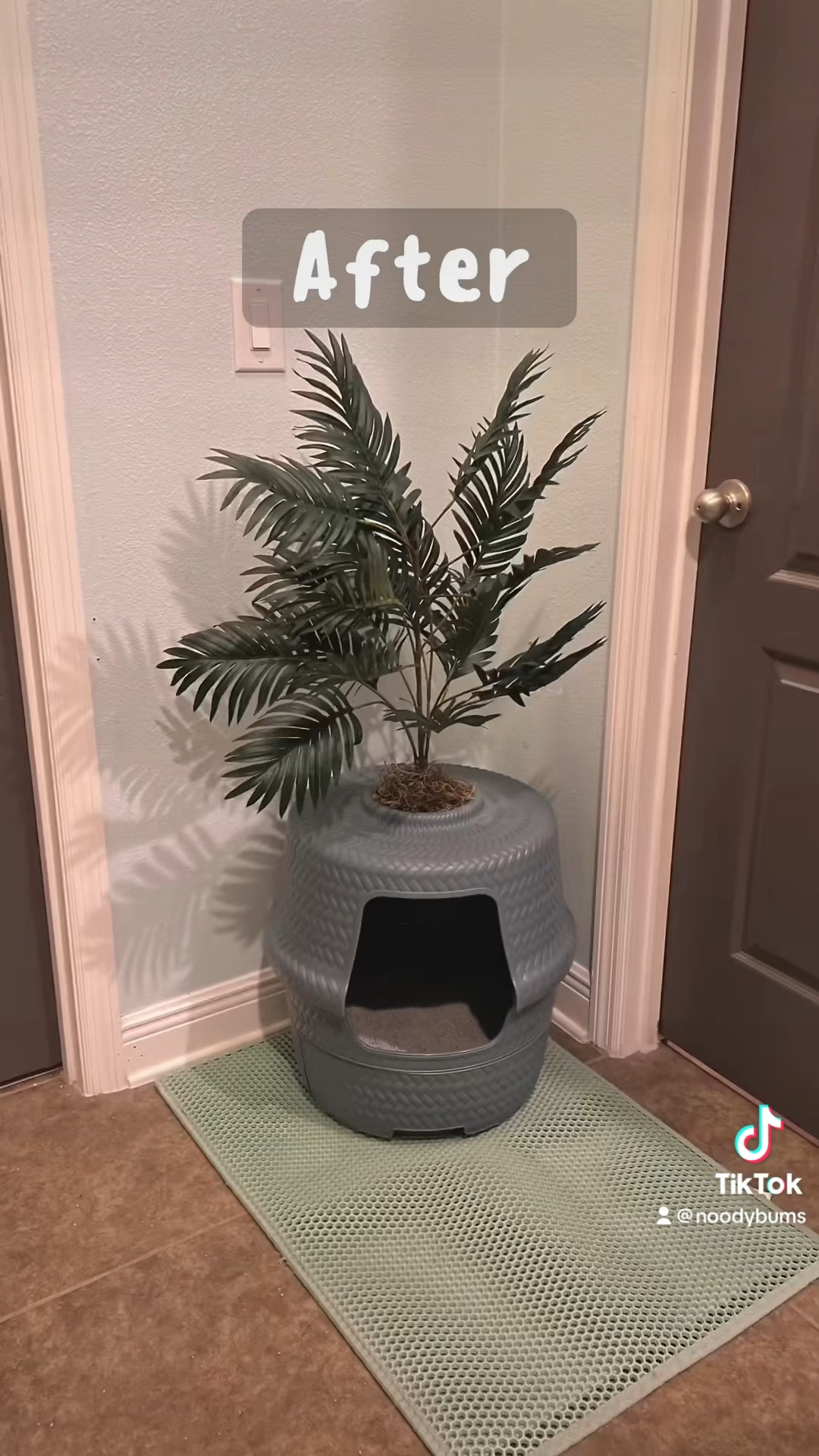 Planter Litter Box 🐾 

#LTKfamily #LTKFind #LTKhome