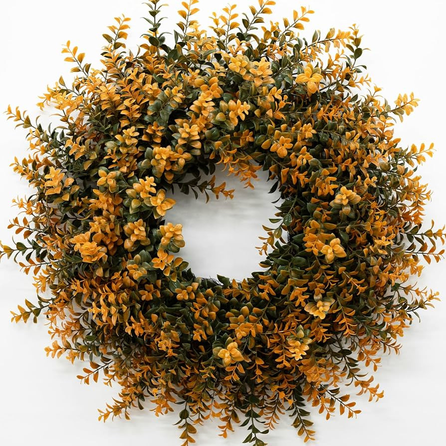 Orange | Amazon (US)