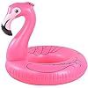 HIWENA Flamingo Float, Inflatable Flamingo Pool Float Tube for Party, 41 Inches Pink Flamingo Flo... | Amazon (US)